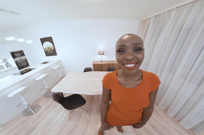 Virtual Real Porn: Before the Premiere