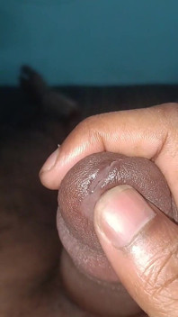 Mi polla dormita
