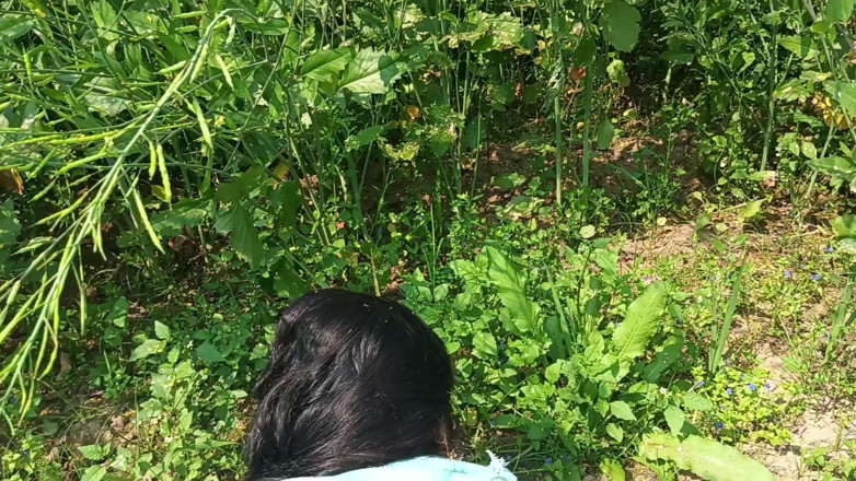 Desistepsis: Blowjob and Anal Video Outdoor Anal Sex Video Hindi Audio