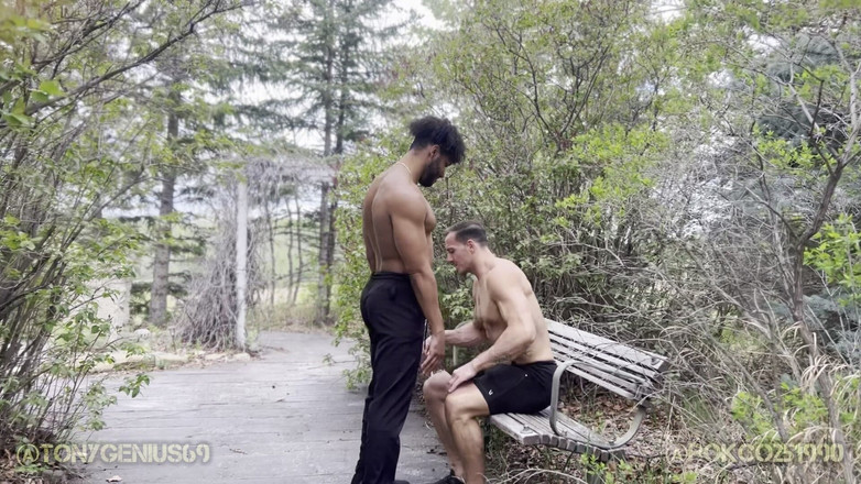 Tony Genius: Tony'nin ev ısınma hediyesi