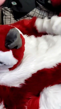 Jerking off and Showing Footpaws in Full-body Fursuit