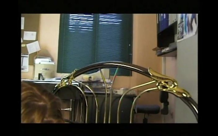 Lesbian Illusion: Deux secrétaires lesbiennes sexy se lèchent la chatte
