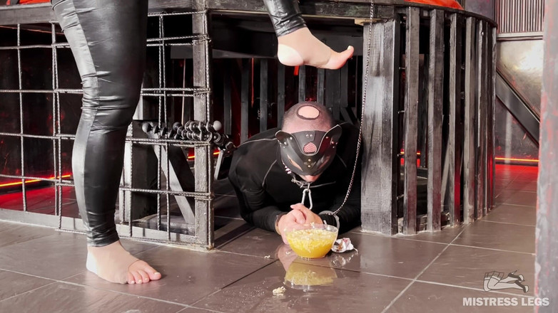 Mistress Legs: Cină pentru sclav: taitei instant înmuiat cu nectar de aur și coaja...