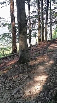 Hardcore Outdoor: Drsný Honění V Čerstvém Polomu