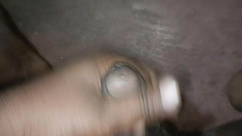 LegalVector8: Indisch heet