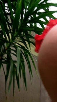 Honey in red bläst eine große ladung