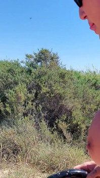 A Good Bitch Fucked on the Beach