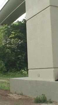 Take a Young Whore to Fuck Under a Bridge in a Park
