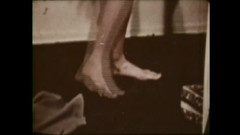 The Unforgettable: De Wilde Veulen