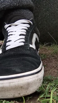 Komp. de mis zapatos vans
