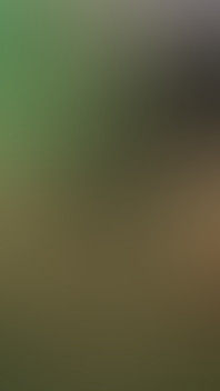 Straight Foreigner Guy Gets His Huge Cock Sucked by Me Again, Tries to Suck Me and I Cum on His Tigh -9th Visit-