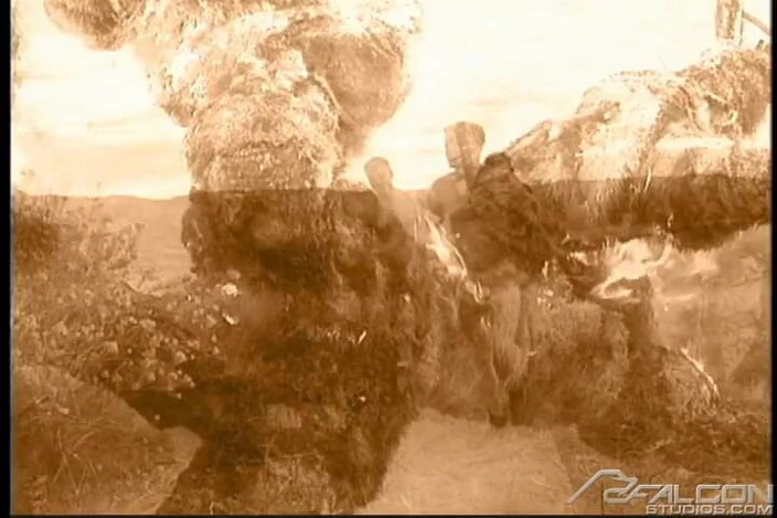 Falcon Studios: Absolut arid