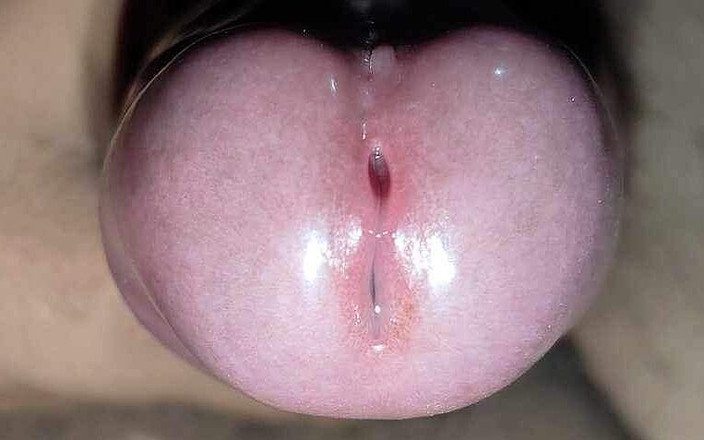 Big Lund self: Stor själv lund