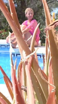 Auntjudys - Sua vizinha gostosa da MILF Lynna Nilsson chupa seu pau na piscina (em primeiro plano)