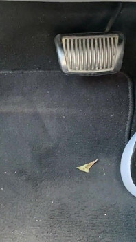 Pedaal pompen in tennisschoenen door Ivys Voeten
