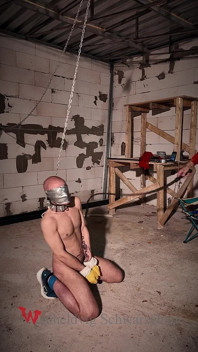 Zeus Tapegagged and Spikes Collar
