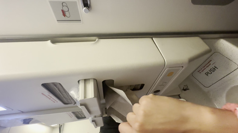 Papi Rodriguez: 我在飞机上和一个阿雷贝做爱，口交我的鸡巴，然后在洗手间里毁掉它