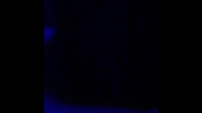 We the North Entertainment: Cassie Quinn masturbating with my cock