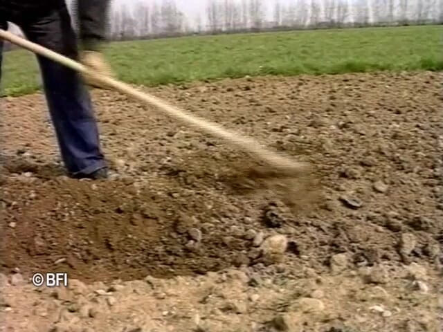 Naughty by nature in Holland: Husbandman appetite 4