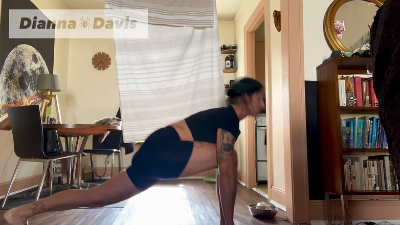 Dianna Davis: 速度瑜伽