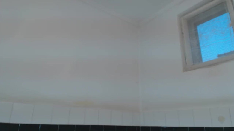 TIVADAR 73: Tivadar 73 shaving 2.
