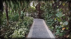 South Merican GOON ROOM: Bianca 04k. 1 , díl 1, sledujte nás na dobrodružství života