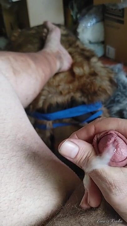 BigManShaman: Tugging the Cock