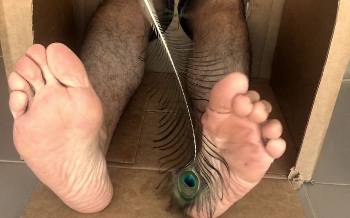 Manly foot: Kalendarz adwentowy męskiej stopy fetyszu autorstwa twojego przyjaciela Mr Manly...