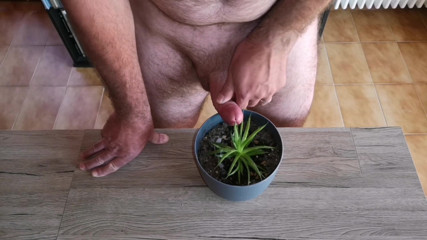 Cicci77: Cicci77 nutre le sue piante con pipì e sperma per...