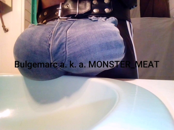 Monster_Meat_: ภาพคอลลาจจากรูปถ่ายล่าสุด