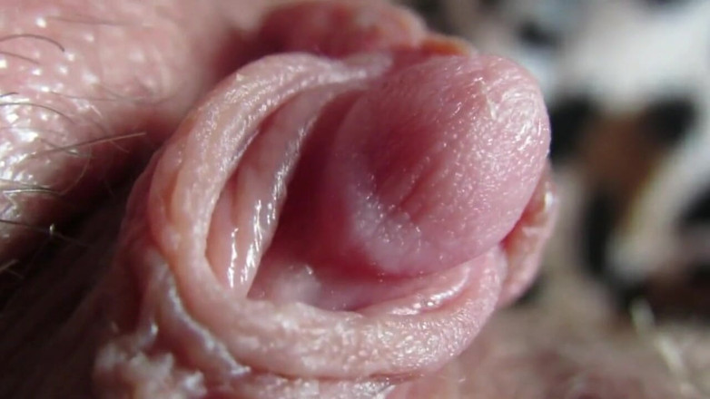 Cuteblonde666: Velká kompilace klitorisu 2