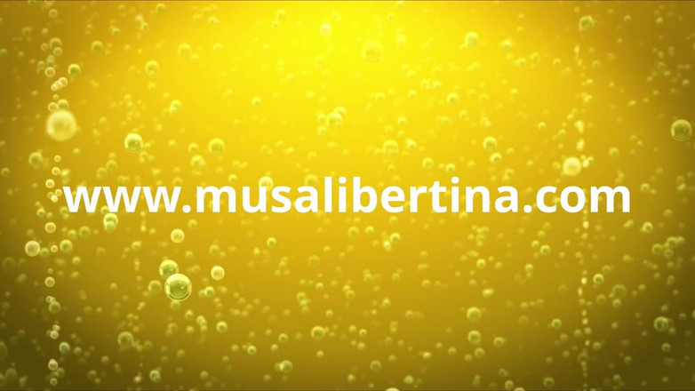 Musa Libertina: मेरी क्रिसमस 2019