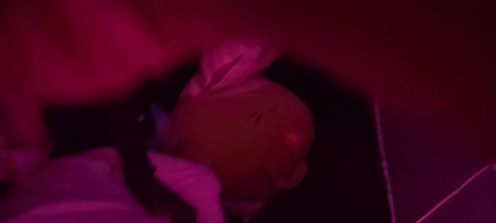 Dick for yo bitch: Black and White Love at Its Best up Close