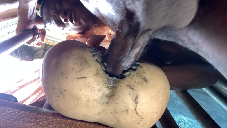 Bangcum8: Amateur, dicker arsch ist zu eng, lässt mich schnell kommen,...