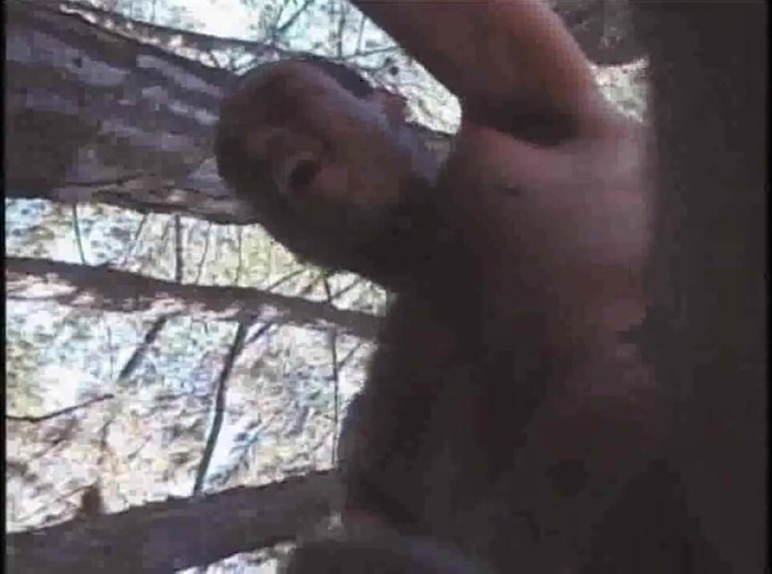 Shemale videos: Yougn ébano transexuel fode fin forest cruising