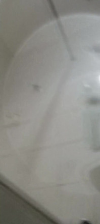 Gagging in Toilet