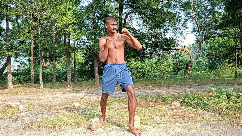 LinearOrnament35: Poder de ajuste