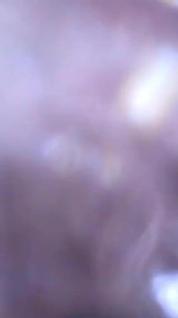 Spelen En Doorslikken Van Een Speeltje Dat Door Een Gebruiker Met Een Camera Erin Is Gestuurd
