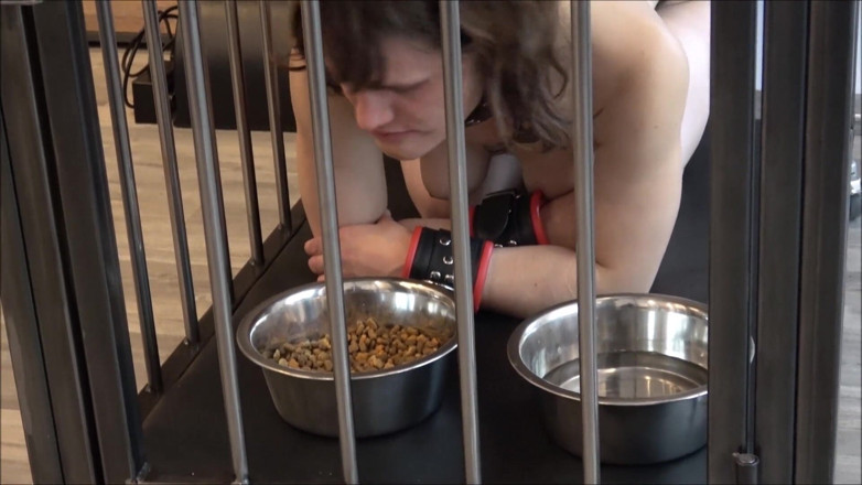 Sex and BDSM Slaves by her Master: 24/7 gabbia custodia dello schiavo nella vita di tutti i...