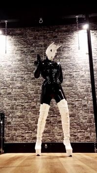 Dominatrix Unicorn