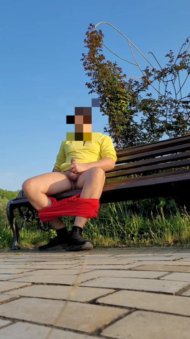 Wanker forever: 공원에서 핫한 위험한 저코프