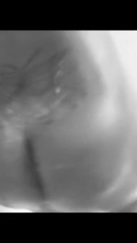primeiro vídeo de todos os tempos é onde minha carreador pornô começou