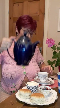 Begitu kekeringan! Perkara menjadi kucai apabila Lady Bird dengan teh krim