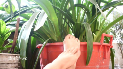 Dreichwe: Piedi in giardino