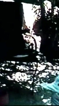 La meravigliosa giovane ragazza nera gode di un mostruoso cazzo nero che viene sulla sua bocca