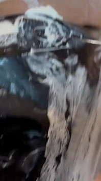 Creampie nuovo panna montata e cazzo duro