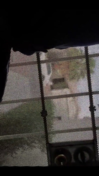 Waiting on My Amazon Delivery