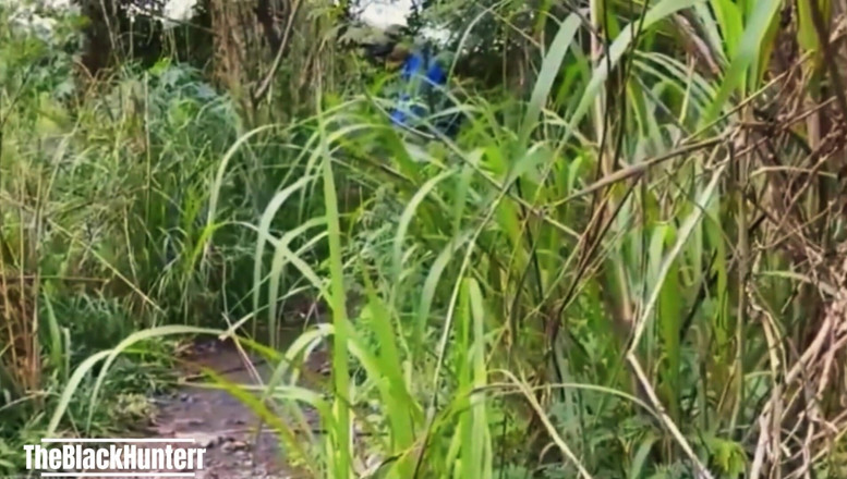 TheBlacKHunterr: Worker Fucks in the Bush Strangers