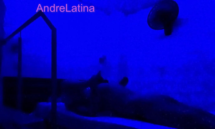 Gatita latina: Morsetti Nel Culo Stretto Ruggito Mentre La Sborra Riempie Il...