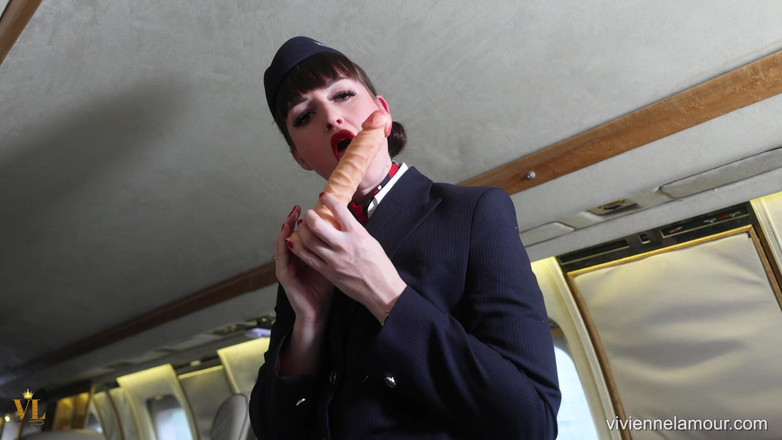 Vivienne l'Amour: Vivienne l'amour - private jet pov - bribery